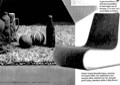 Porro - 20.05.09 - Holland